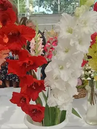 20250815124506.webp