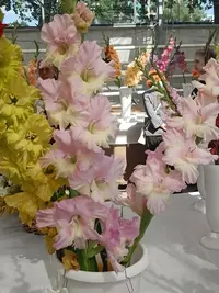 20250815124515.webp