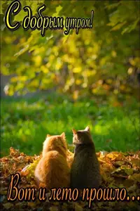 c91a54bb13bff063f5d545fc182939fe.webp