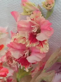 20250815124333.webp
