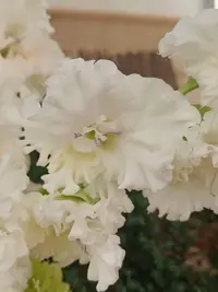 20250815124653.webp