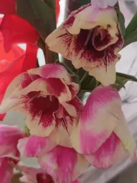 20250815124717.webp