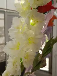20250815124737.webp