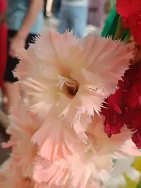 20250815124747.webp