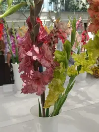 20250815124343.webp
