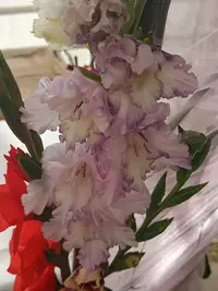 20250815124722.webp
