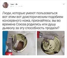 scale_2400 (1).webp