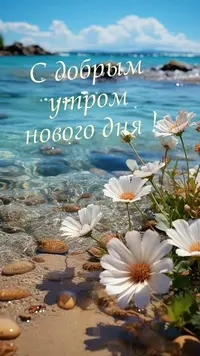 22_142111_902.webp