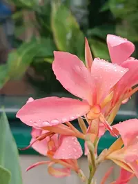 20250811123704.webp