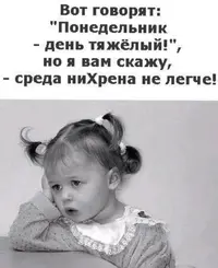IMG_5259.webp