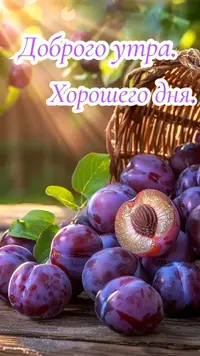 c841c3b100ed87c63745d016a2f4216b.webp
