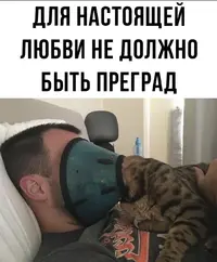 Screenshot_2025-09-01-11-00-18-56_68e74cc0265513bba3f4cf8e2c9891fe.webp