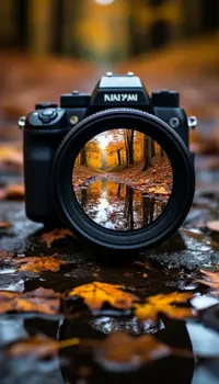 010900 Фотография.webp