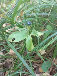 IMG_20250906_100328.webp