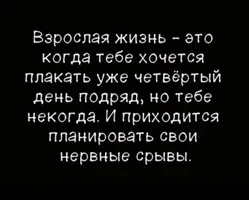 IMG_20250906_105610.webp