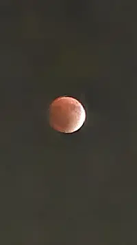 1000137531.webp