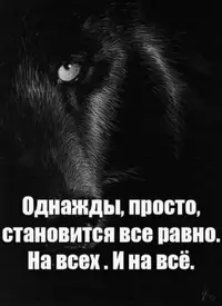 1000004160.webp