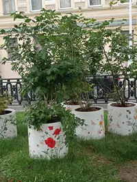 20250811140933.webp