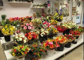 InShot_20250910_144326718.webp