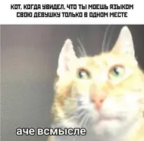 1000037517.webp