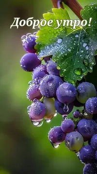 0902_203409_958.webp