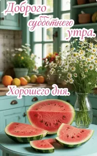 IMG_5553.webp