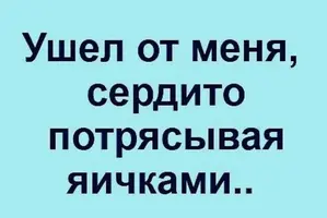 IMG_5554.webp