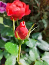 20250913_124820.webp