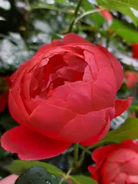 20250913_124359.webp