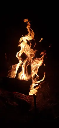 IMG-38acc10f621783a1117135d543f976ca-V.webp