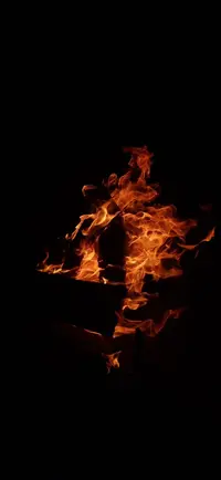 IMG-b6b180720823088975d0bdece10d69e2-V.webp