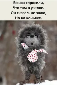 831_111341_365.webp