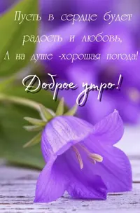 IMG_5594.webp