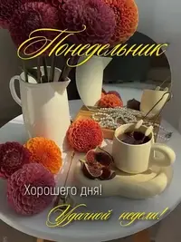 544807315_18096284530646461_6070.webp