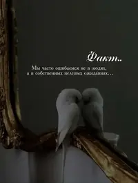 540706490_18075962453315998_1683.webp