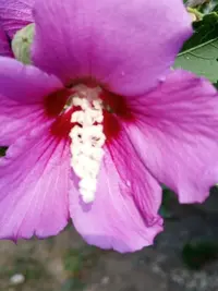 IMG_20250915_103321_413.webp