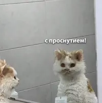 HLIPA8CTKRI.webp
