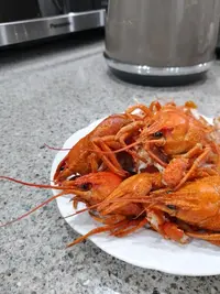 IMG_20250914_210152_979.webp