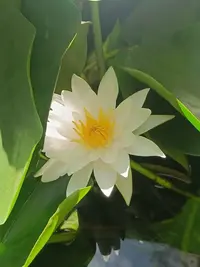 20050815125814.webp