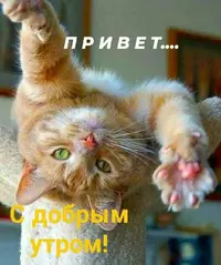 i.webp