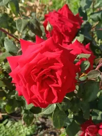 20250917124129.webp