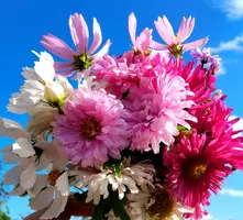 IMG_20250917_190300_663.webp