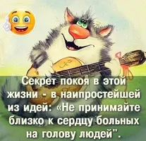 550208169_18531986347034393_2797291642874518115_n.webp