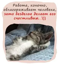 549261756_18374615968183311_1197.webp