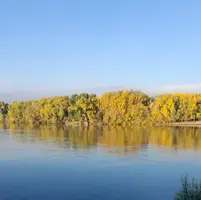 1000274646.webp