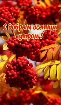 905_063816_608.webp