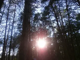 P7090226.webp