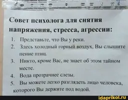 13d56aec9613f603d5378ba1d5dea438ccf34b06cf8346bbd4a2ecd34cbfc78d_1.webp