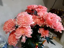 20250919_111018.webp