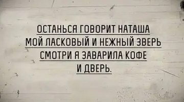 1000038383.webp